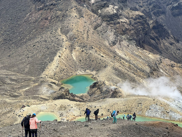 紐西蘭旅遊景點—🩵 Blue Lake 一圈剛剛好：在湖光山色裡呼吸森林