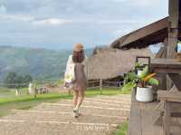 🌿 Akha Farm ดอยช้าง – ฟาร์มแกะสุดอบอุ่น 🐑