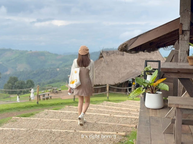 🌿 Akha Farm ดอยช้าง – ฟาร์มแกะสุดอบอุ่น 🐑