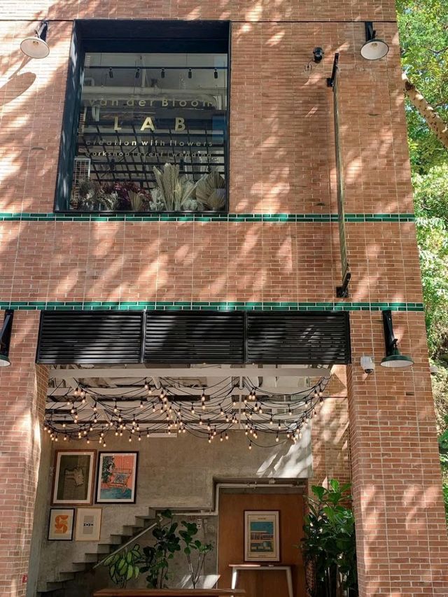 🏙️🌿 Little Tai Hang – A Stylish Hideaway in the Heart of Hong Kong 🇭🇰✨