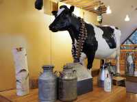 🧀 Say Cheese in Furano! A Delightful Dairy Stopover