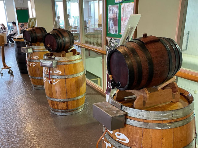 🍇 Wines with a View: A Sip of Furano’s Charm