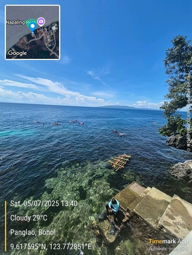 Domingo Cafe, Bohol