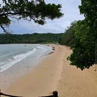 Dam Trau Beach (Con Dao)