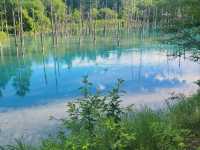 北海道の美しい景観