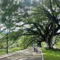 🌿【Trip Moment】Taiping · 被雨水宠爱的慢时光