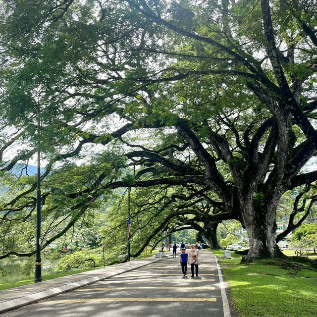 🌿【Trip Moment】Taiping · 被雨水宠爱的慢时光