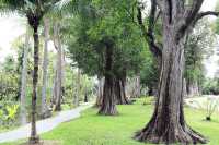 สวนช้างทองเฮอริเทจ สวนไม้โยราณเชียงใหม่