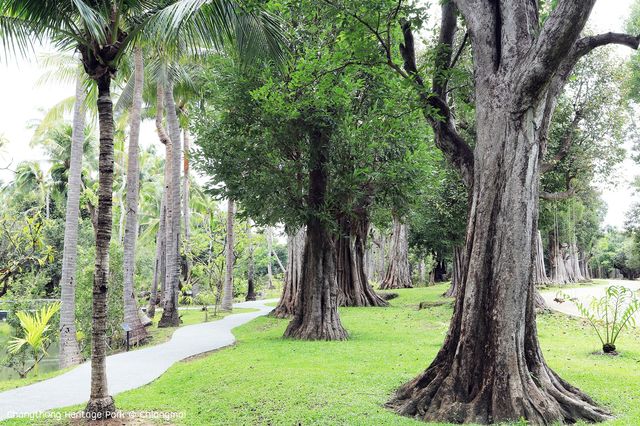 สวนช้างทองเฮอริเทจ สวนไม้โยราณเชียงใหม่