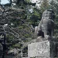 Kitaguchi Hongu Fuji Sengen Shrine