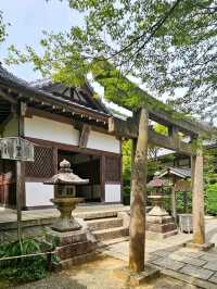 Kyoto’s Quiet Corner: Jojakko-ji Reflections