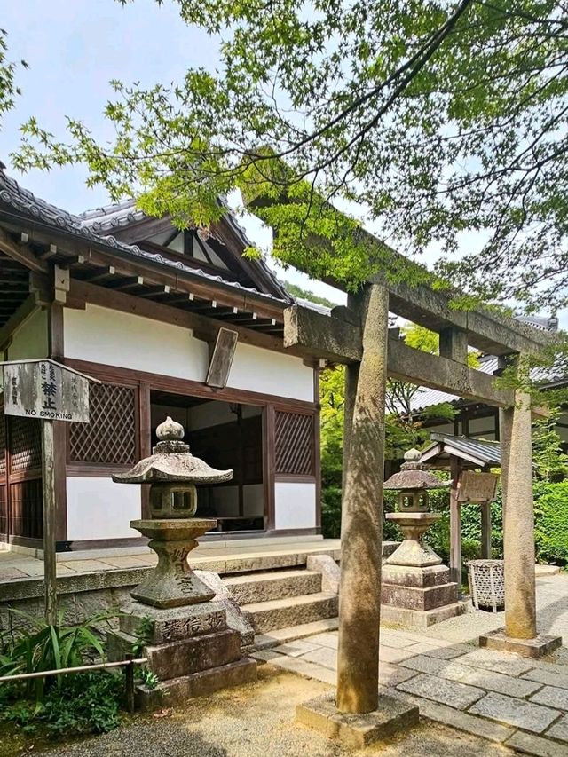 Kyoto’s Quiet Corner: Jojakko-ji Reflections