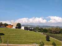 Tea with a View? Say Less! Choui Fong is Pure Bliss