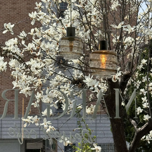 Delicate Layers & Pastel Dreams – My Visit to Café Margaret, Seoul
