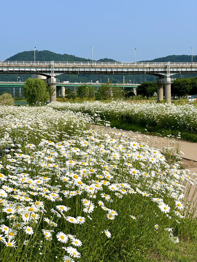 공주여행 필수코스