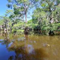 Caddo Lake State Park – East Texas