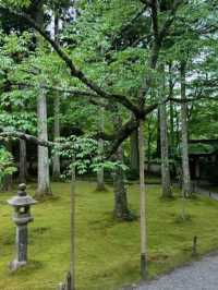 京都必去景點（八） 三千院🌳禪意之美