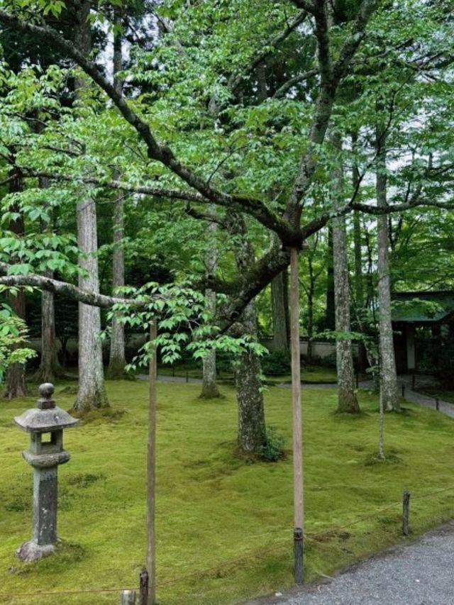 京都必去景點（八） 三千院🌳禪意之美