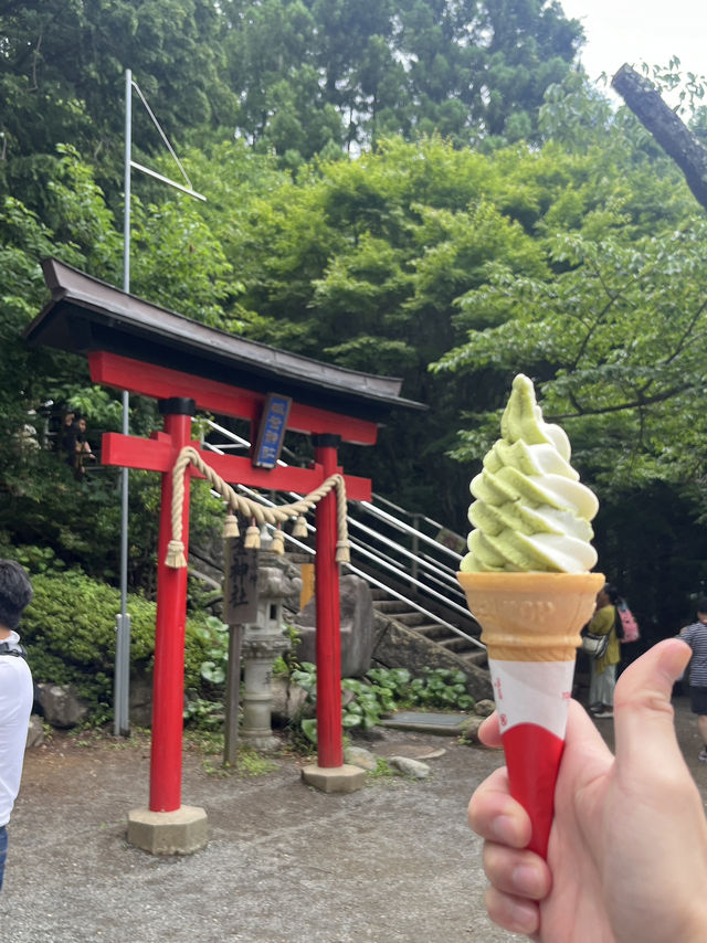 🗻 Arakurayama Sengen Park – Japan's Most Iconic View 🌸⛩️