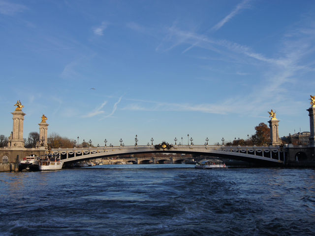 🗼 Sailing Through Parisian Dreams – River Seine Cruise