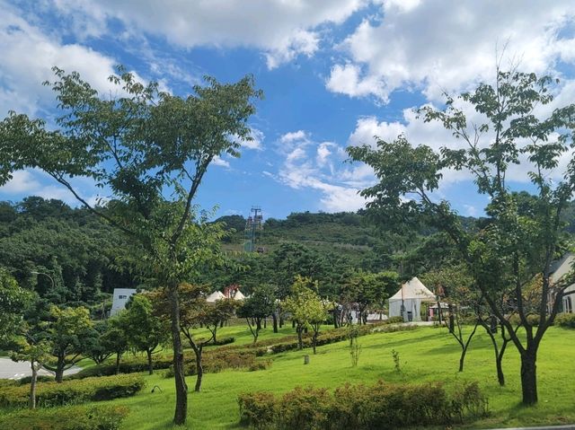 강화도 루지 풍경도 이뻐요