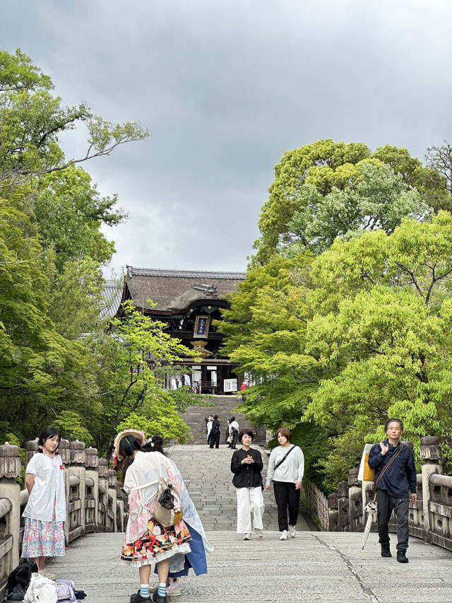 Kyoto, Japan 🇯🇵🏯