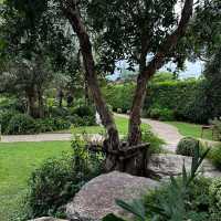 🌲🏡 Kenora Park n Play – นนทบุรี 🛝☕