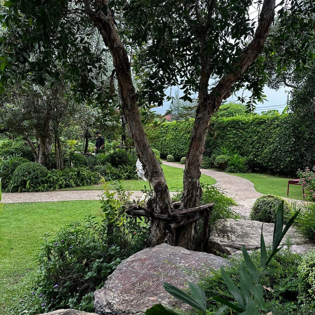 🌲🏡 Kenora Park n Play – นนทบุรี 🛝☕