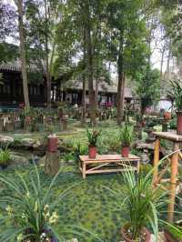 Du Fu Thatched Cottage – Where Poetry Became Immortal
