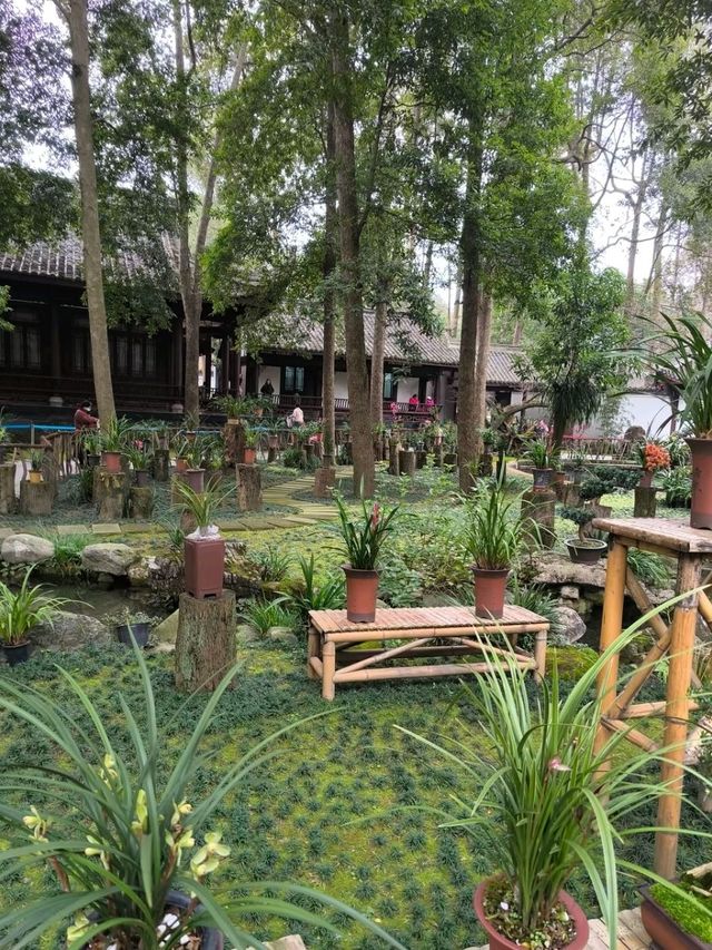 Du Fu Thatched Cottage – Where Poetry Became Immortal