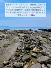 🌺超おすすめ！この夏行きたい秘密の海 in 館山市🌺