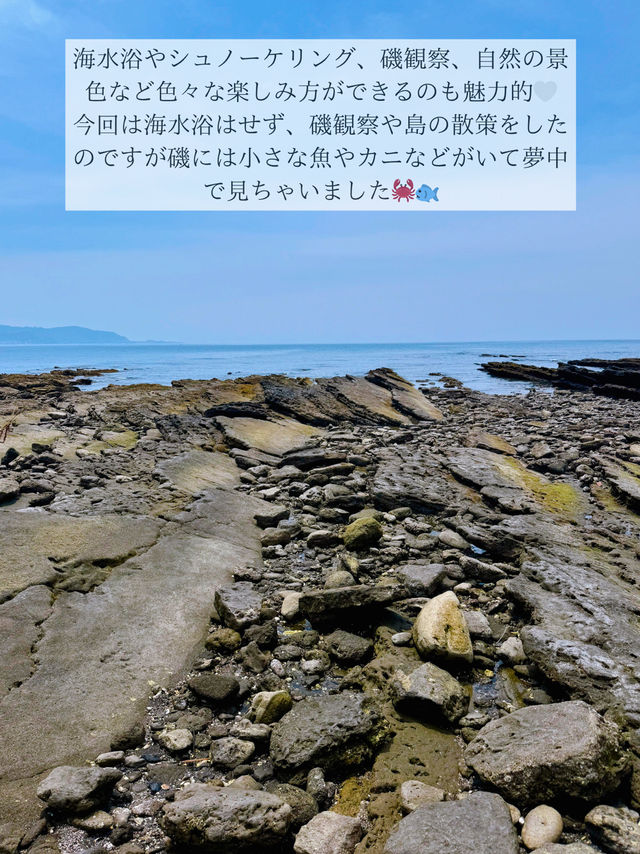 🌺超おすすめ！この夏行きたい秘密の海 in 館山市🌺