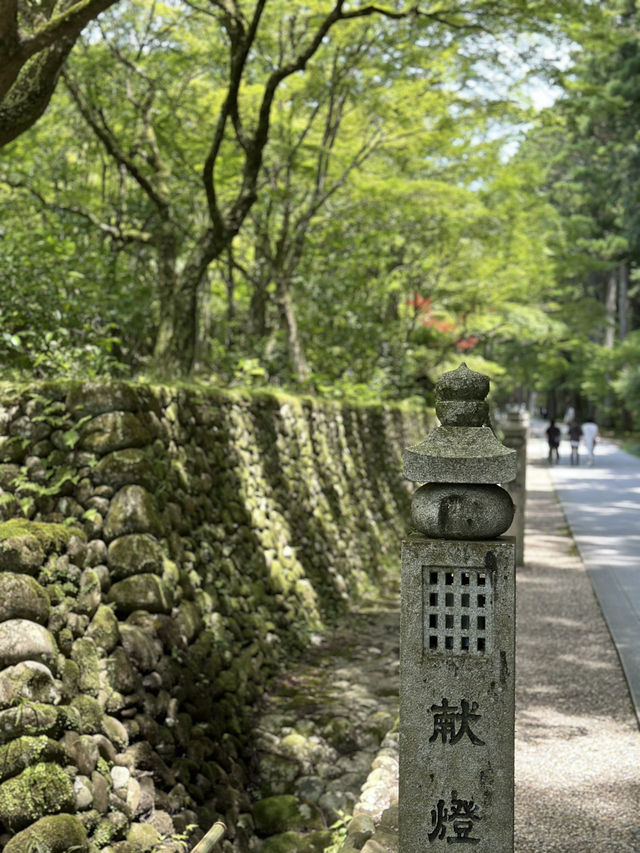 【静岡】 毎年恒例の風鈴を使ったイベント《遠州三山風鈴祭り》