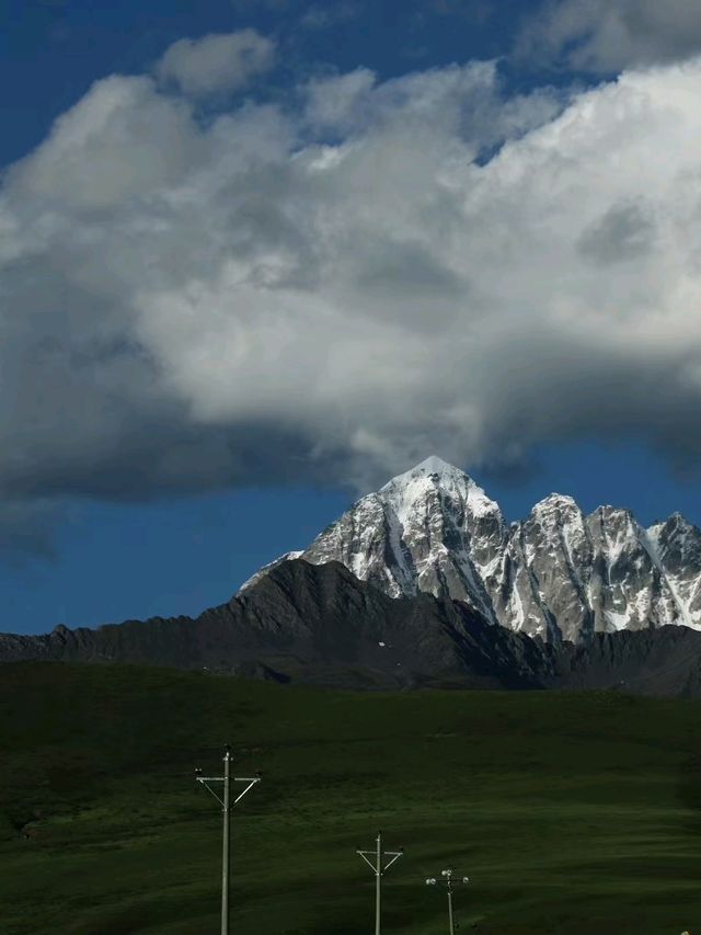 Yuzi West Grassland