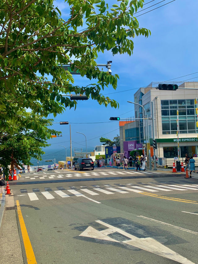 부산 바다 여행 가이드 모음집🌊🐳