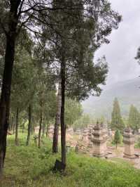 🥋🌄 The Magic of Shaolin Temple: More Than Just Kung Fu