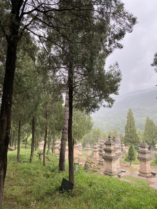🥋🌄 The Magic of Shaolin Temple: More Than Just Kung Fu