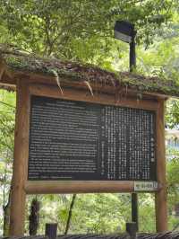 四國｜德島｜祖谷蔓橋｜一步一驚心的秘境冒險 🌿🌉