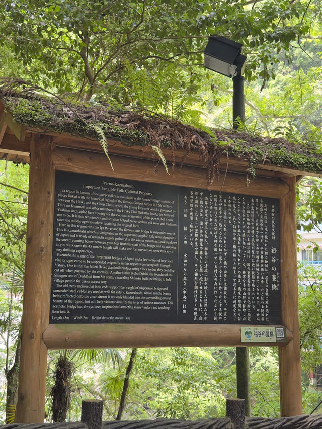 四國｜德島｜祖谷蔓橋｜一步一驚心的秘境冒險 🌿🌉