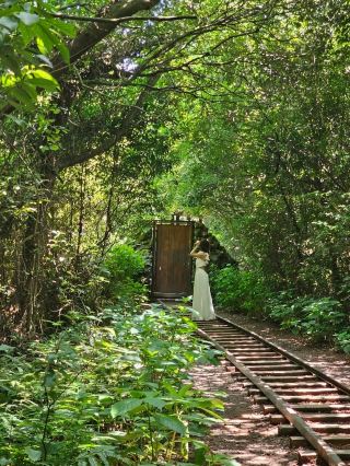 Welcome to the Fairy Tale Forest. A stroll through the forest where stories intersect with the fairy tale forest.