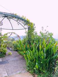 Secret Garden - Hidden Floral Paradise Above the Mall