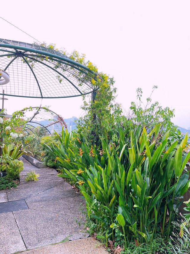 Secret Garden - Hidden Floral Paradise Above the Mall