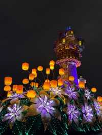 Magic, Precision, and Wonder: The Tokyo Disney Difference