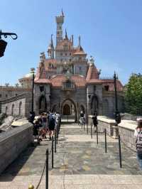 Magic, Precision, and Wonder: The Tokyo Disney Difference