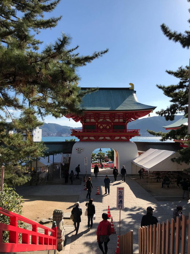 ⛩️赤間神宮｜竜宮城のような幻想的な神社で歴史と美を感じる旅