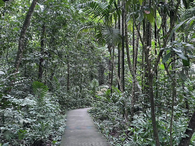 Nature – Beaches – Culture – Night Views ✨ No shopping – Includes tropical forest hikes, beaches, Li