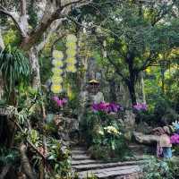 🌿 Escape into Nature at Qingxiu Mountain, Nanning (南宁青秀山)