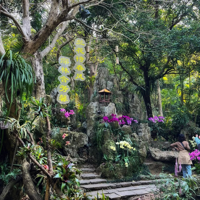 🌿 Escape into Nature at Qingxiu Mountain, Nanning (南宁青秀山)