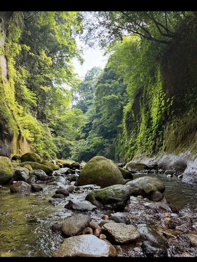 まるで東洋のチロル!由布川渓谷で自然美に包まれる冒険旅🌊 まるで東洋のチロル!由布川渓谷で自然美に包まれる冒険旅🌊