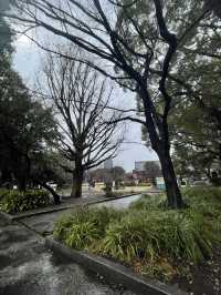 🇯🇵 Ueno Park